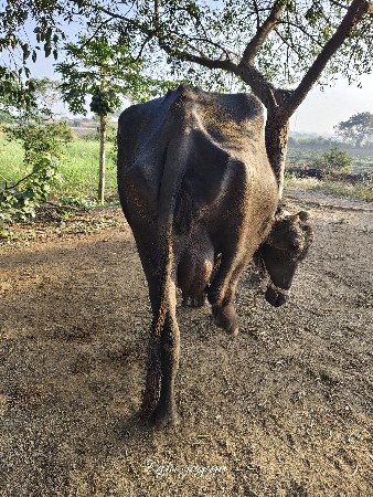 थंबनेल 2