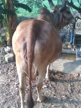 थंबनेल 2