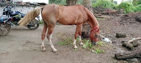 થંબનેલ 2