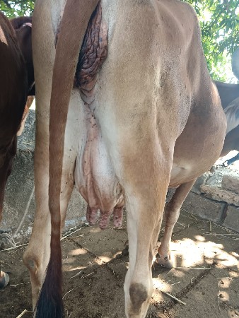 थंबनेल 2