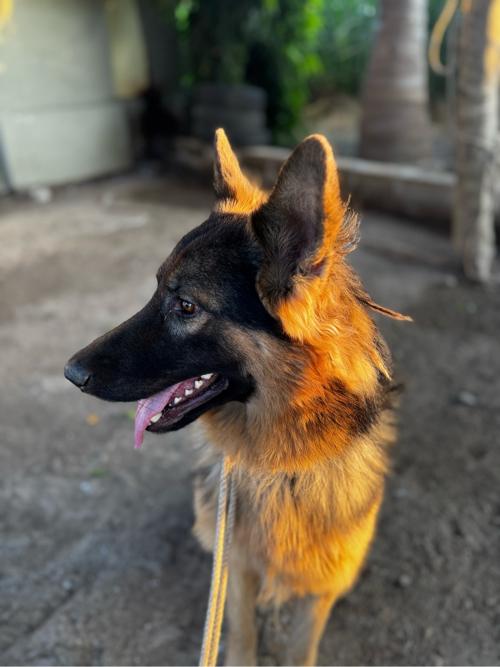 થંબનેલ 2