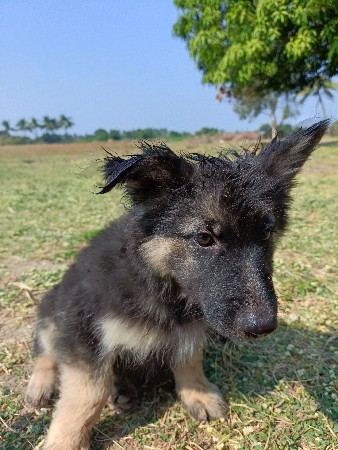 थंबनेल 2