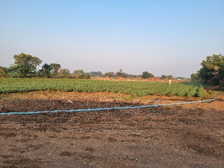 થંબનેલ 2