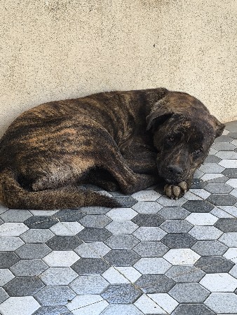 મિટિંગ માટે ફ્રી