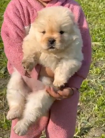 થંબનેલ 3