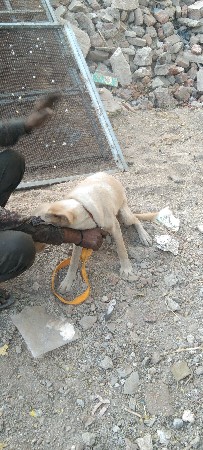 થંબનેલ 3