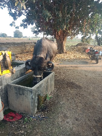 थंबनेल 2