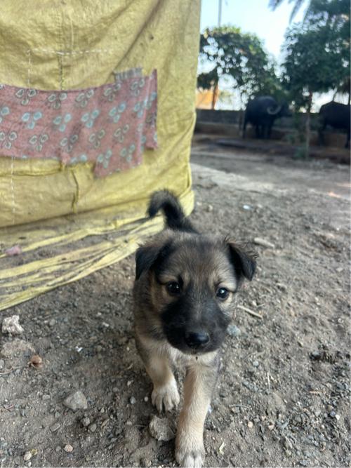 थंबनेल 3