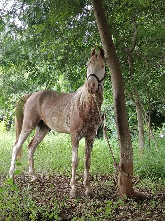 થંબનેલ 3