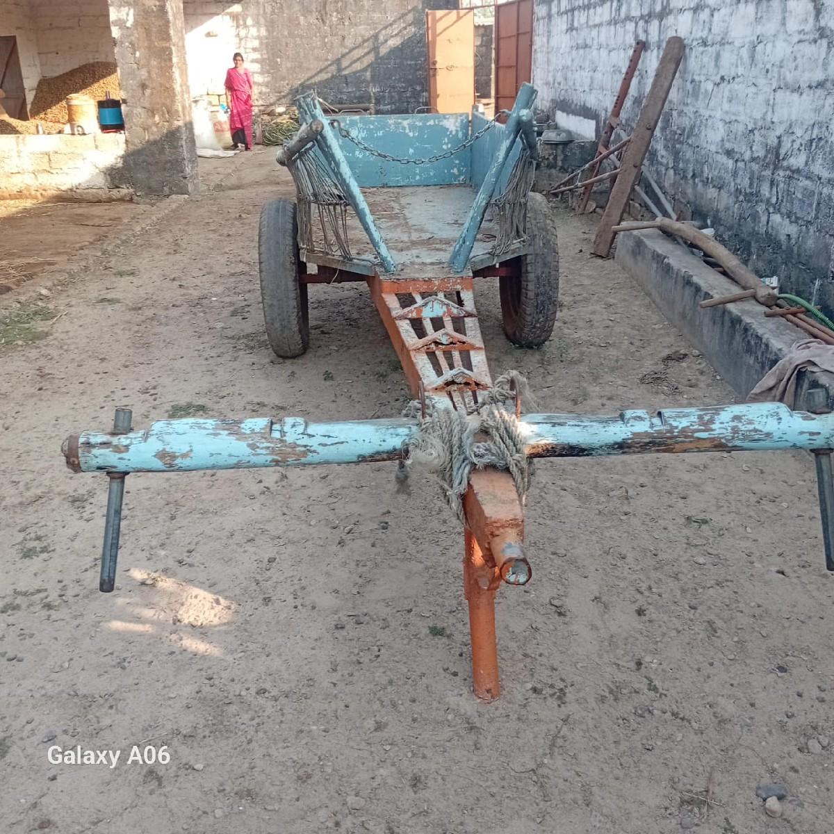 થંબનેલ 2