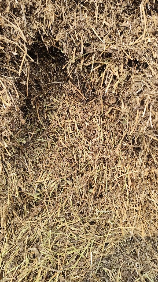 જીવીશ માંડવી નો ભૂકો વેચવા નો છે