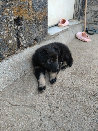 થંબનેલ 3