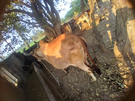 थंबनेल 3