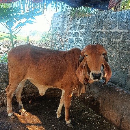 थंबनेल 3