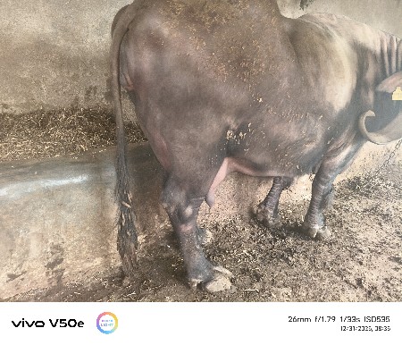 थंबनेल 2