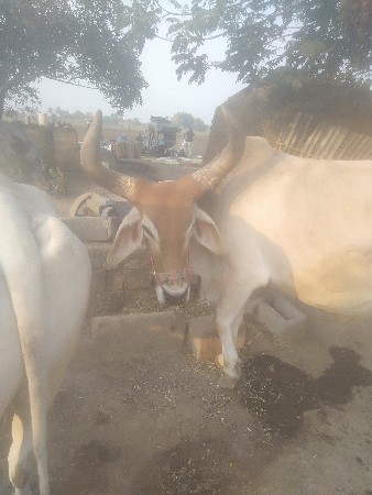 थंबनेल 3