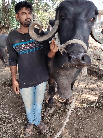 थंबनेल 2