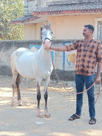 આ વસેરી વેસવાની સે સાટા કરવાના