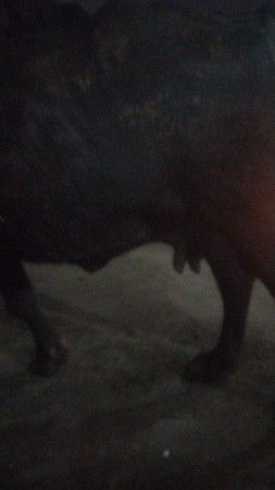 थंबनेल 2