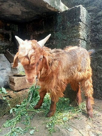 थंबनेल 3