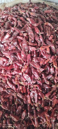 મરચા સુકેલા પાવડર બનાવી આપી એ