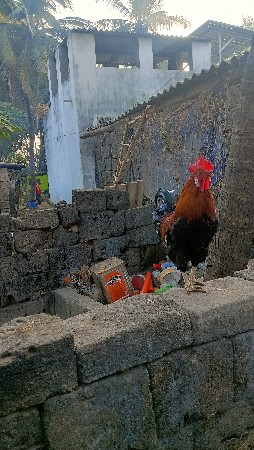 થંબનેલ 2