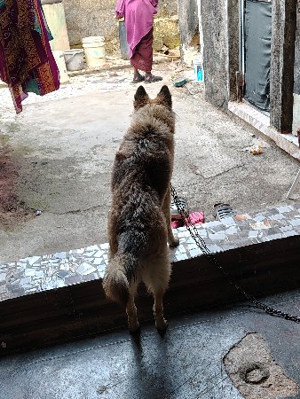 થંબનેલ 3