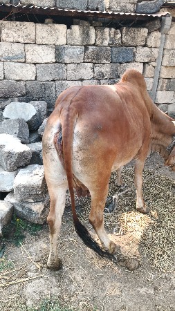 થંબનેલ 3