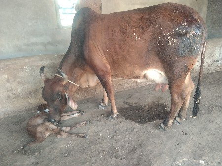 थंबनेल 3