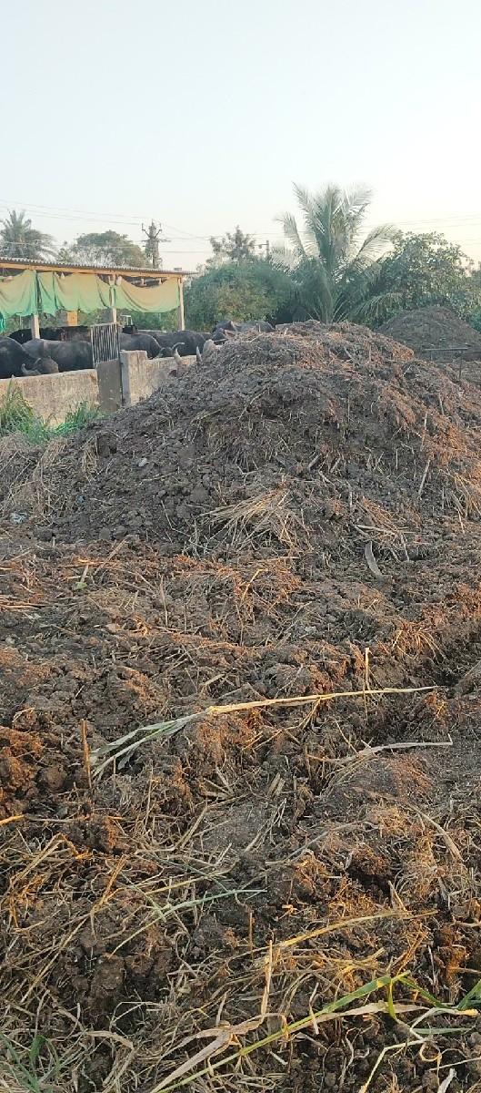 બે ઢગલા છે