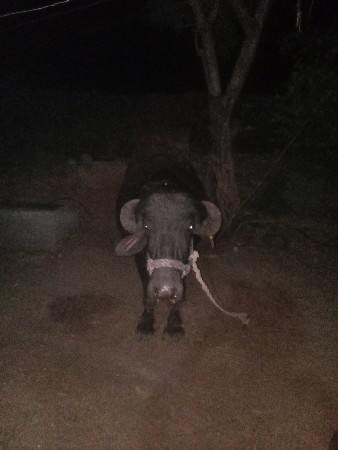 थंबनेल 2