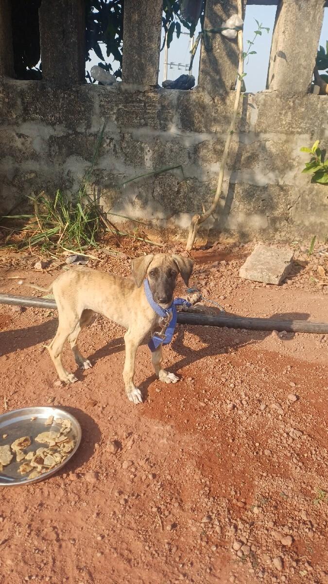 થંબનેલ 2