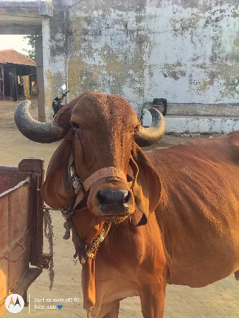 थंबनेल 3