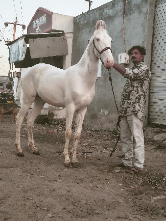 थंबनेल 2