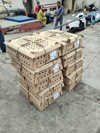 થંબનેલ 5