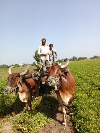 ખેડૂત સિવાય કોઈને નથી દેવાના