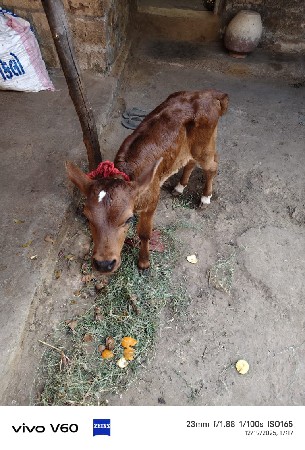 थंबनेल 2