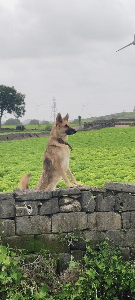 થંબનેલ 2