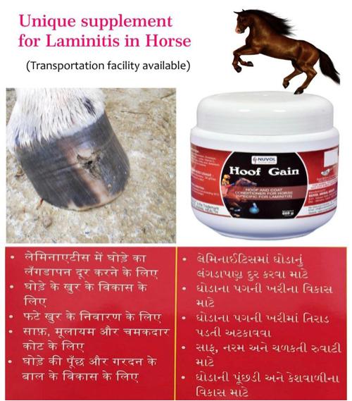 થંબનેલ 4