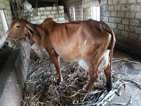 થંબનેલ 2