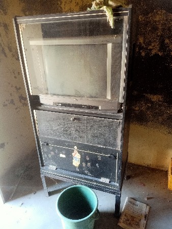 थंबनेल 2