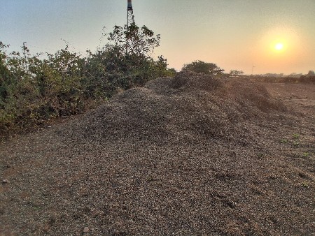 માંડવી નો પાલો વેચવાનો સે