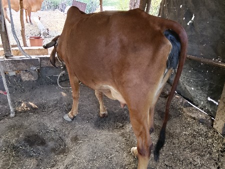 थंबनेल 5