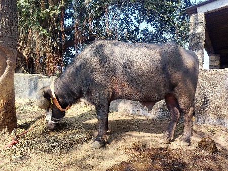 थंबनेल 3