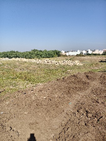 પ્લોટ વેચવાનો છે સોમનાથ