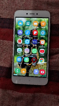 one number pic and full condition