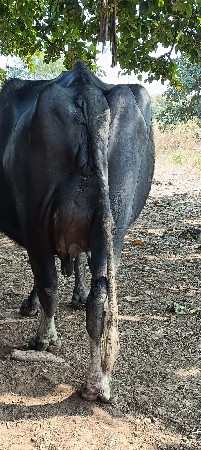 थंबनेल 3