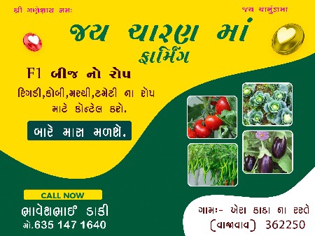 थंबनेल 2