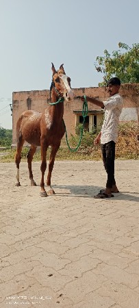 थंबनेल 2