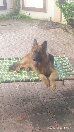 મિટીંગ માટે